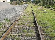 1000059334