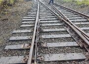 1000062174